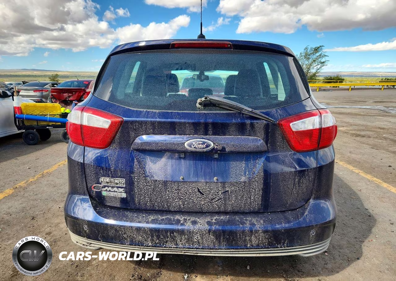 2016 Ford C-Max Premium Sel VIN:1FADP5CU4GL110119 - 6