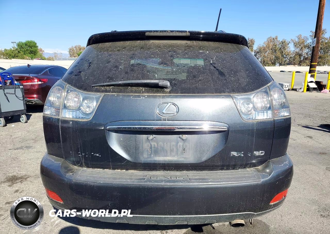 2004 Lexus Rx 330 VIN:JTJGA31U140042226 - 6