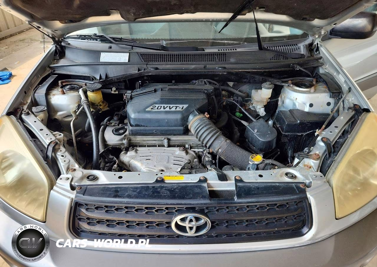 2003 Toyota Rav4 Base VIN:JTEGH20V930118398 - 12