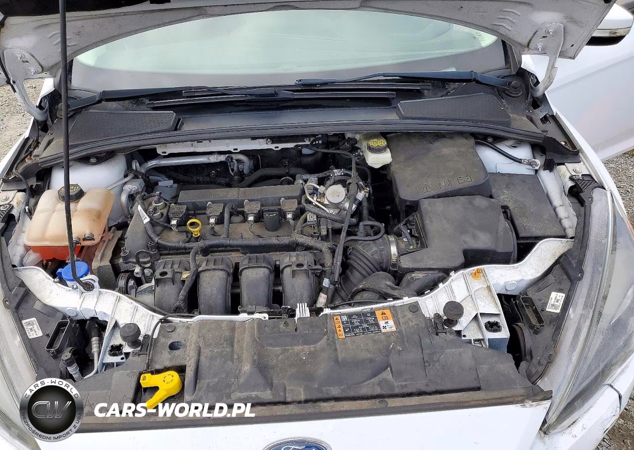 2017 Ford Focus Sel VIN:1FADP3M26HL266732 - 12