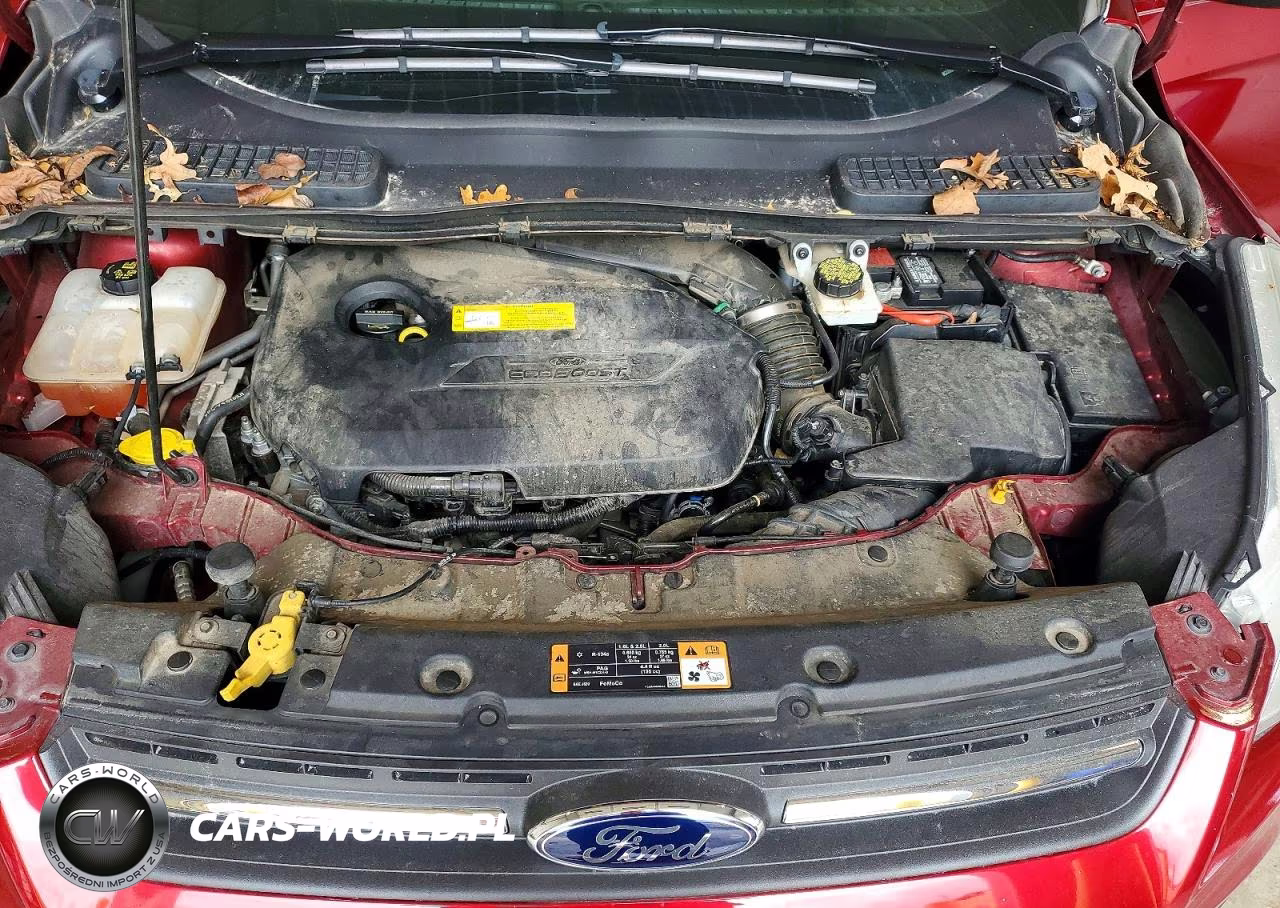 2015 Ford Escape Se VIN:1FMCU0GX0FUB29955 - 11