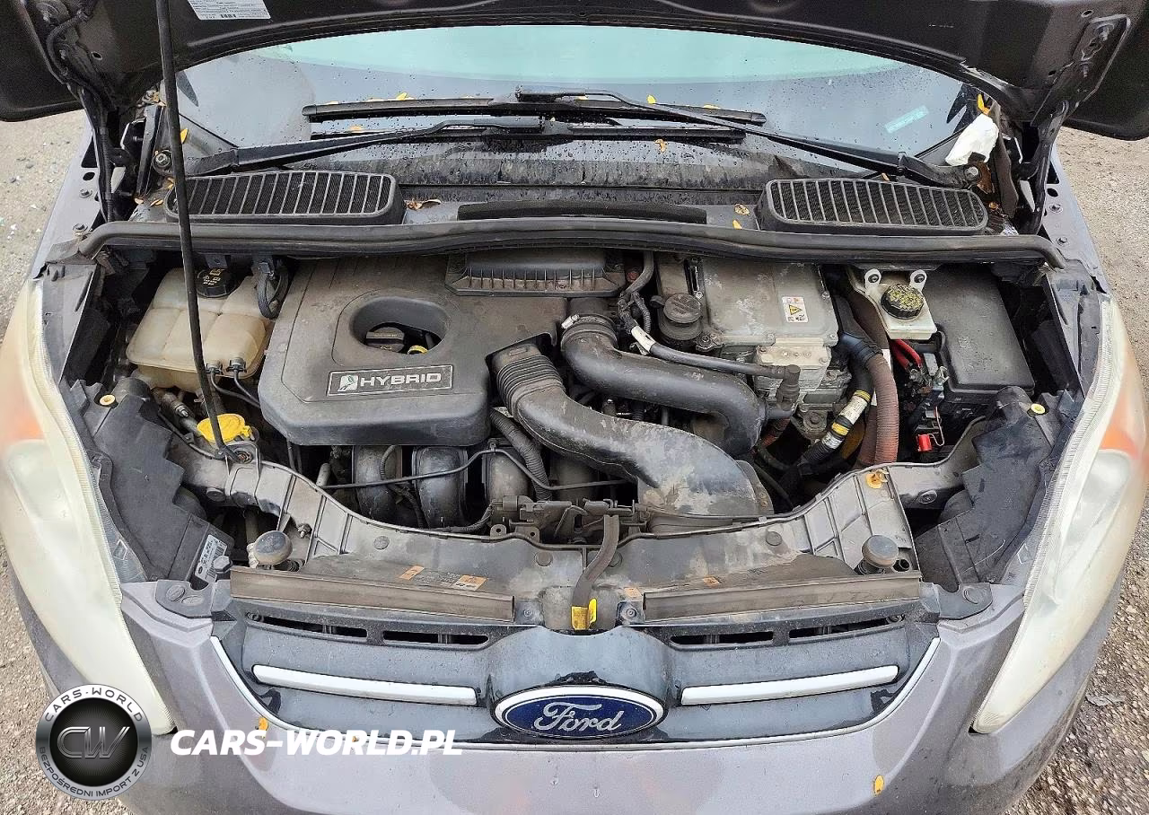 2013 Ford C-Max Sel VIN:1FADP5BU6DL516481 - 11