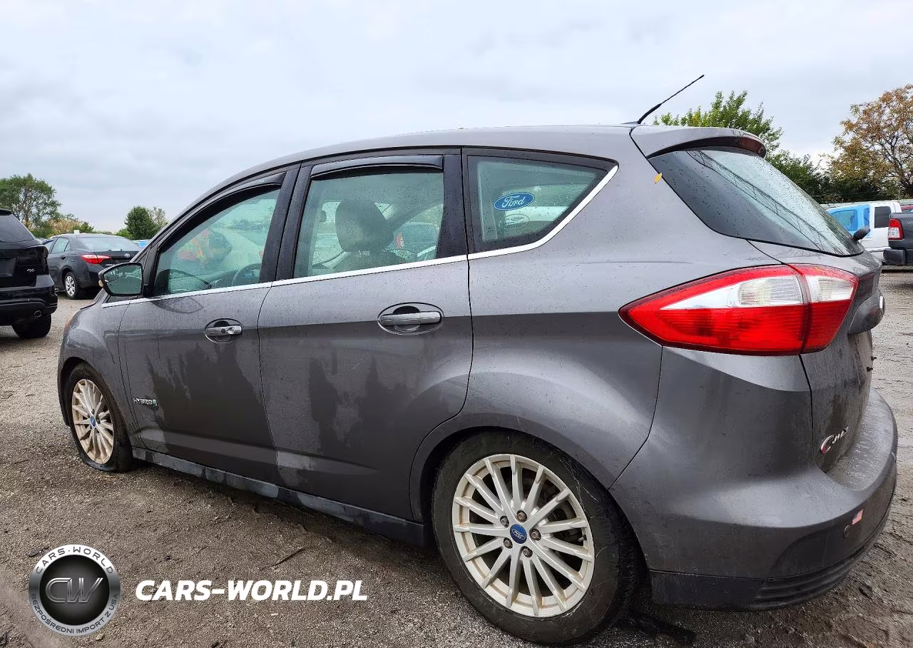 2013 Ford C-Max Sel VIN:1FADP5BU6DL516481 - 2