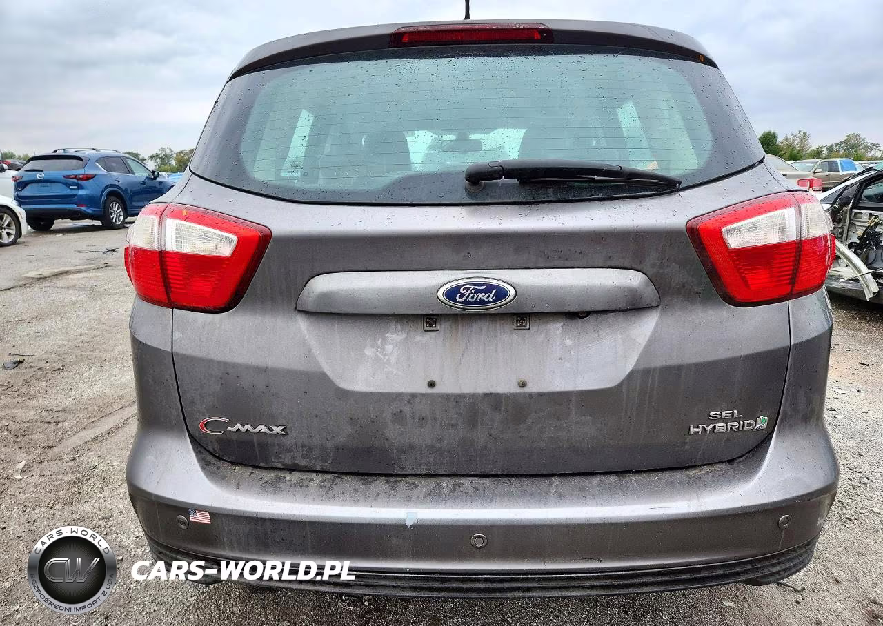2013 Ford C-Max Sel VIN:1FADP5BU6DL516481 - 6