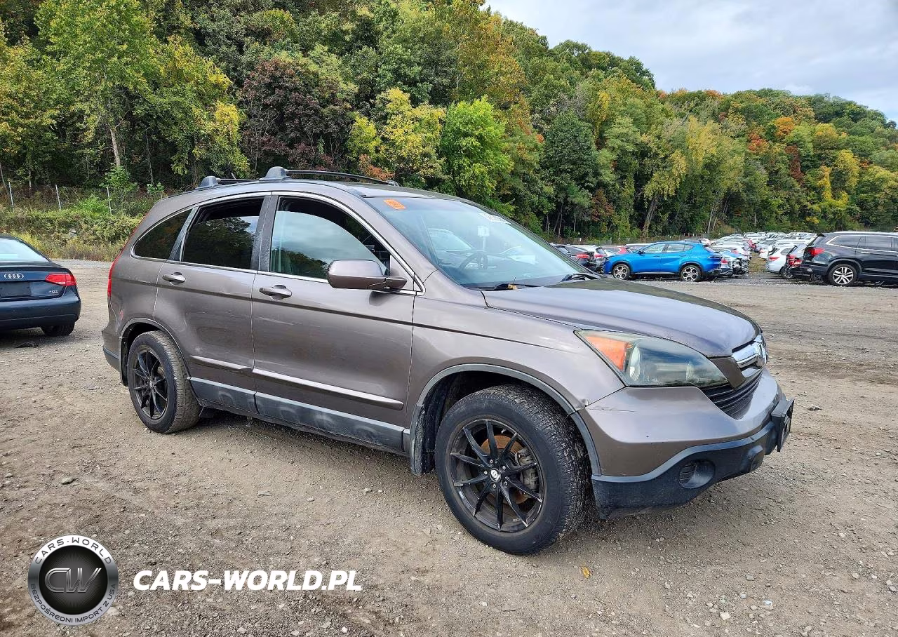 2009 Honda Cr-V Exl VIN:5J6RE48739L034571 - 4
