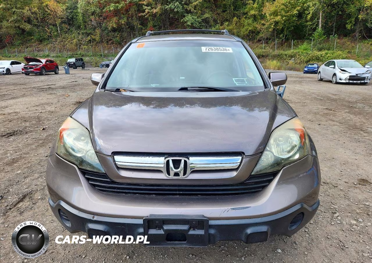 2009 Honda Cr-V Exl VIN:5J6RE48739L034571 - 5