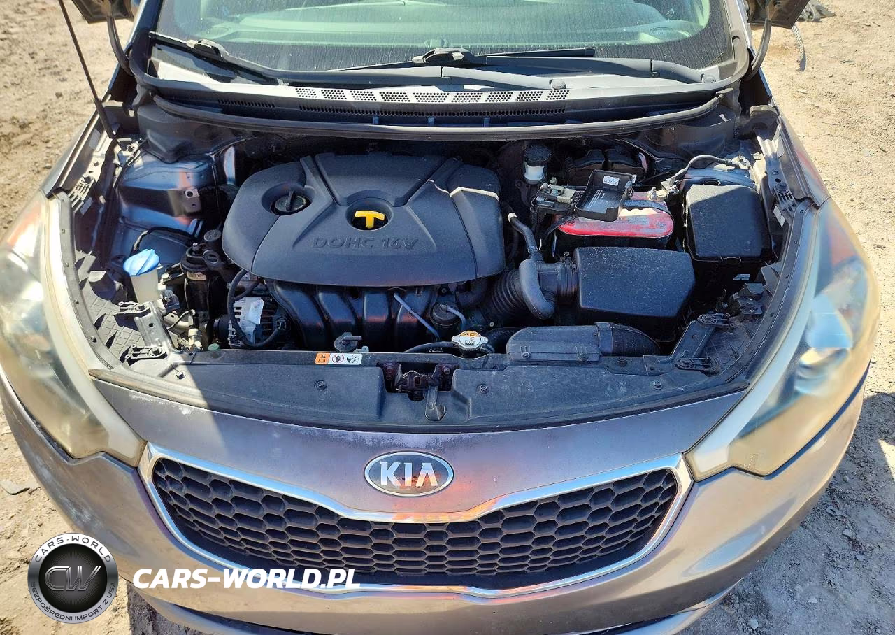 2016 Kia Forte Lx VIN:KNAFX4A66G5439763 - 11