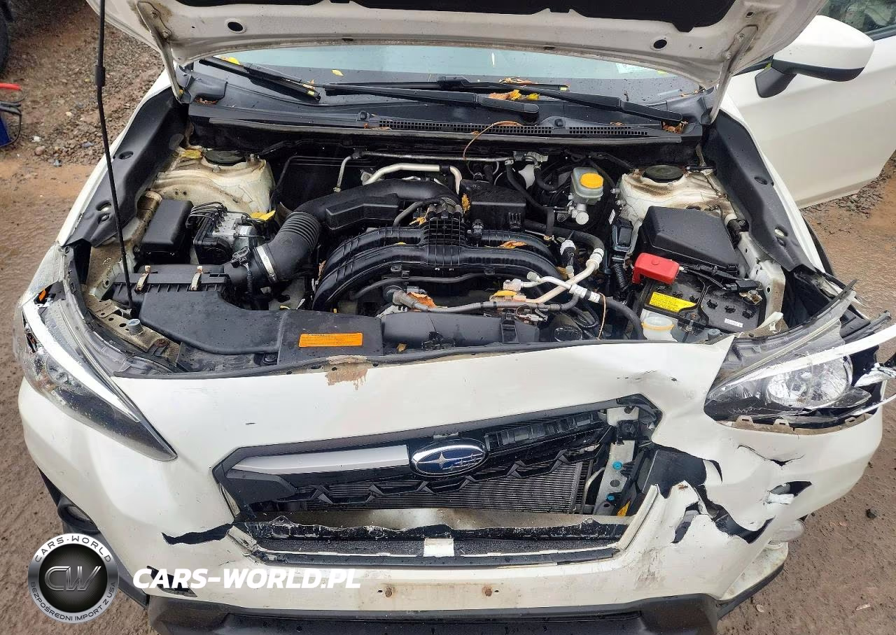 2019 Subaru Crosstrek Premium VIN:JF2GTACC3KH355672 - 11