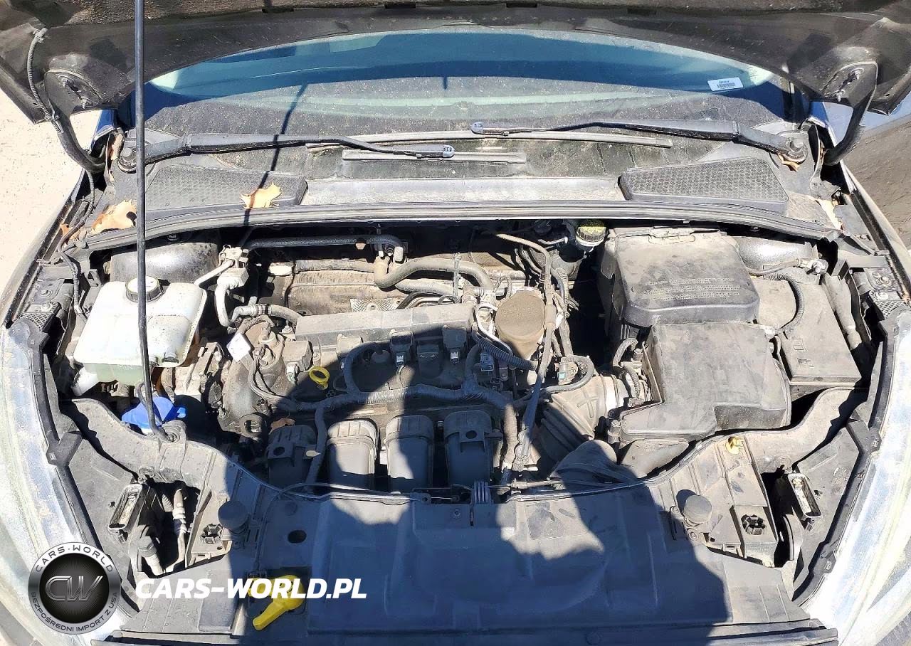 2016 Ford Focus Se VIN:1FADP3F27GL263169 - 11