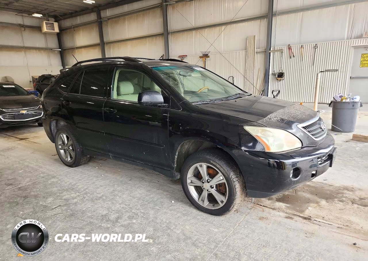 2006 Lexus Rx 400 VIN:JTJHW31U760009630 - 4