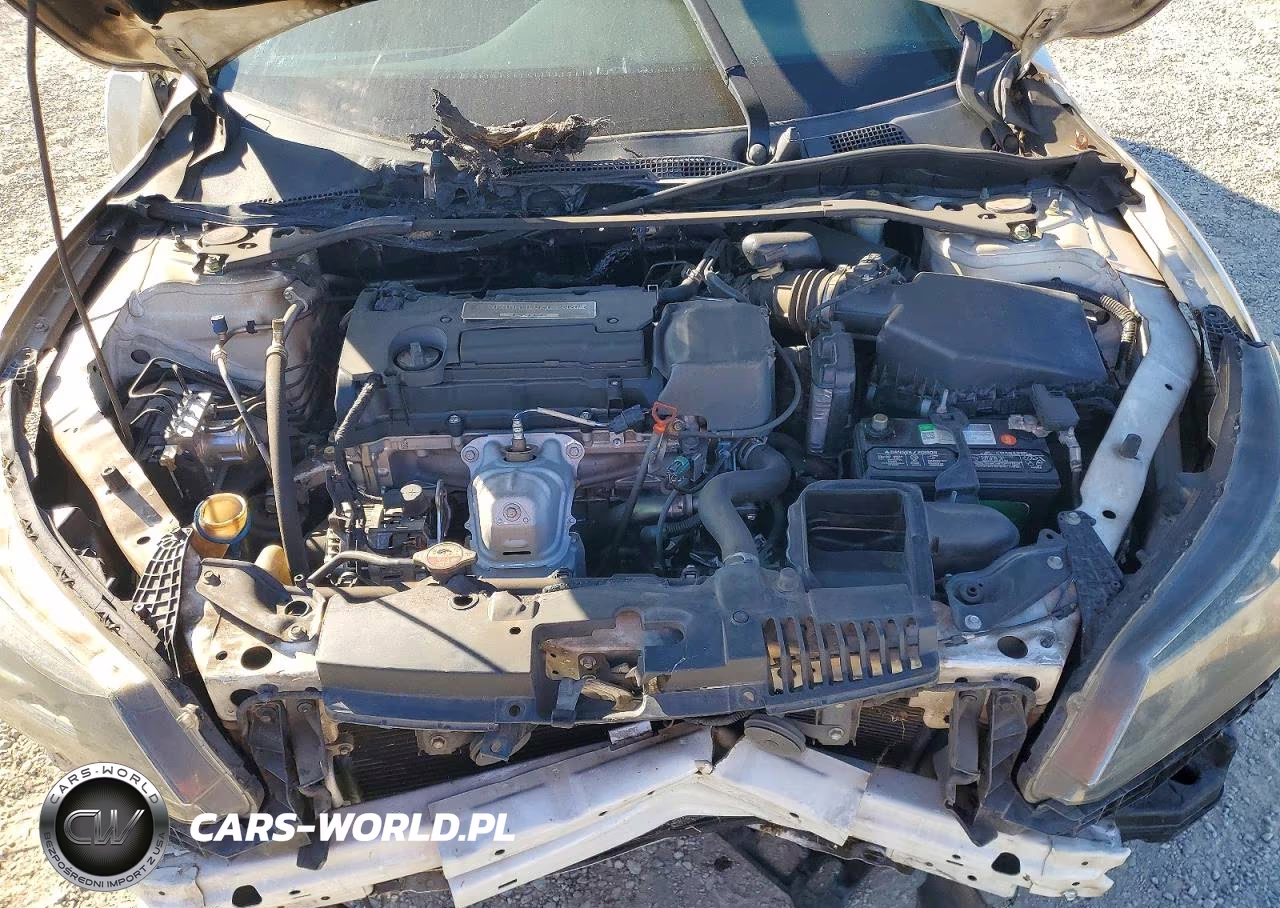 2015 Honda Accord Exl VIN:1HGCR2F88FA113436 - 11