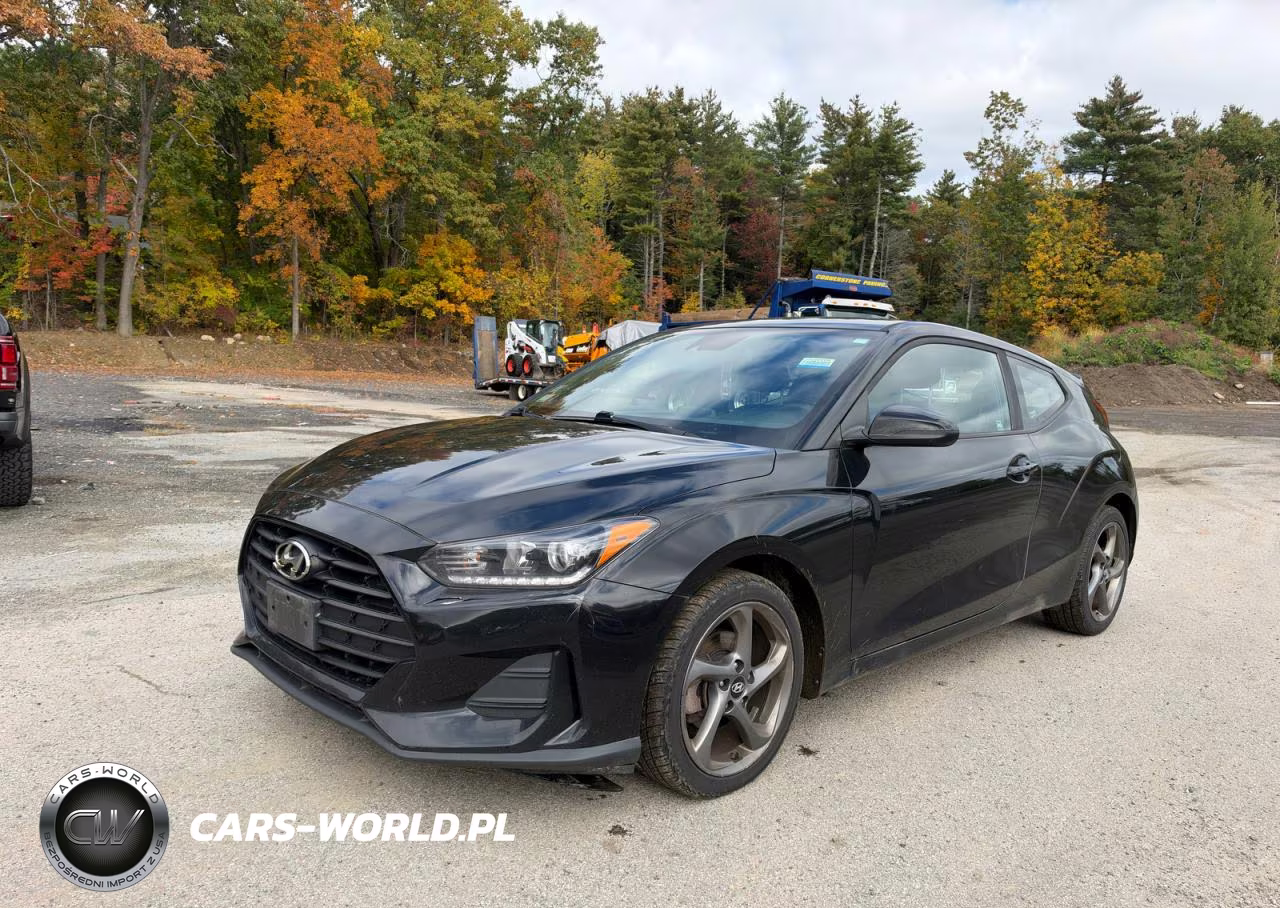 2019 Hyundai Veloster 2.0L VIN:KMHTG6AF9KU010676 - 2