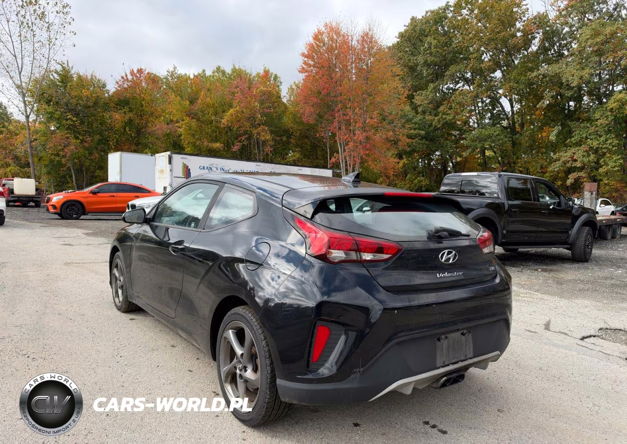 2019 Hyundai Veloster 2.0L VIN:KMHTG6AF9KU010676 - 3