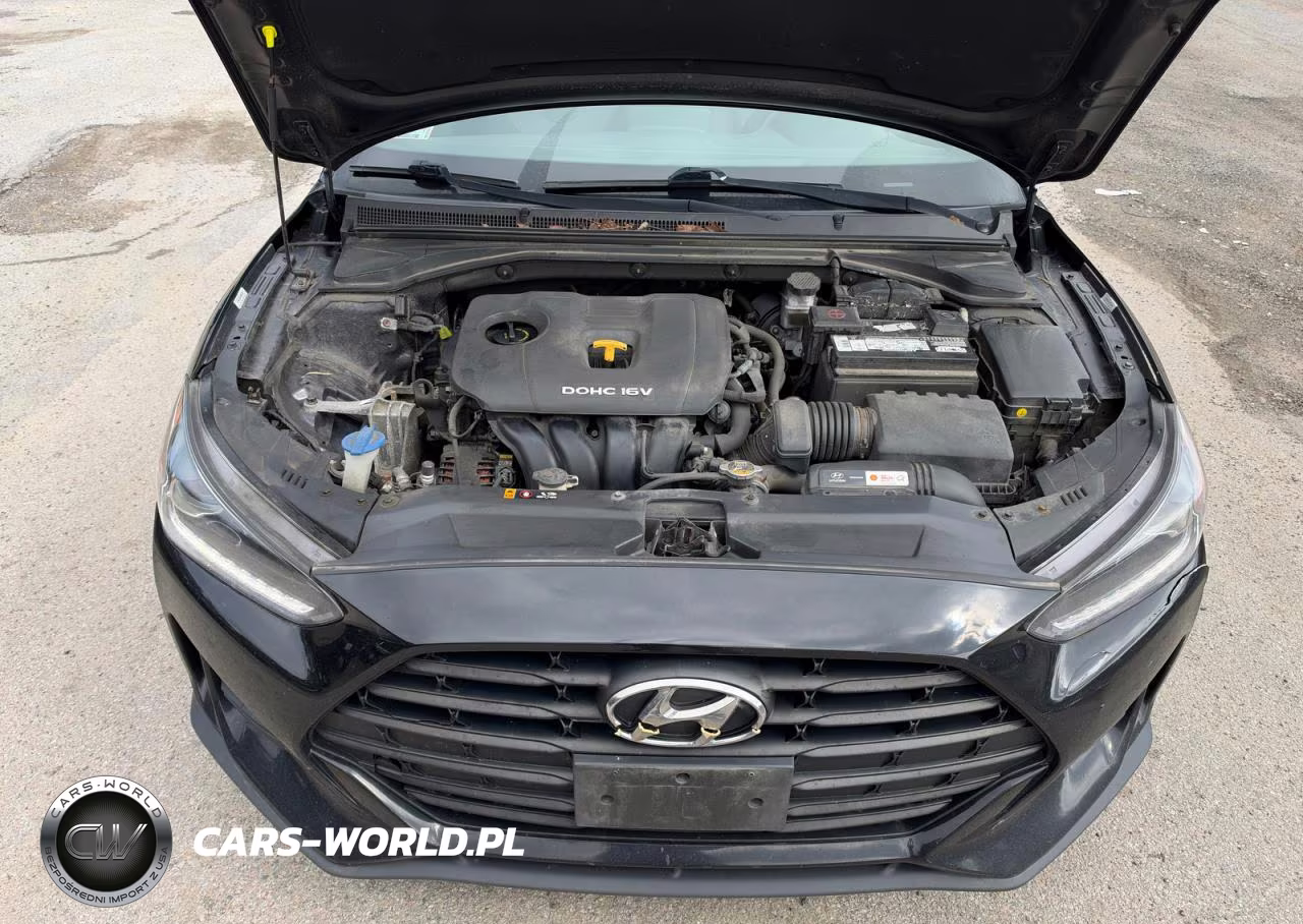 2019 Hyundai Veloster 2.0L VIN:KMHTG6AF9KU010676 - 7