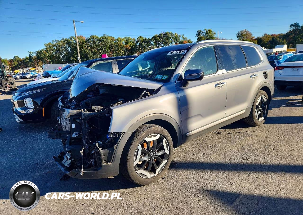 2025 Kia Telluride S VIN:5XYP6DGC0SG603855 - 1