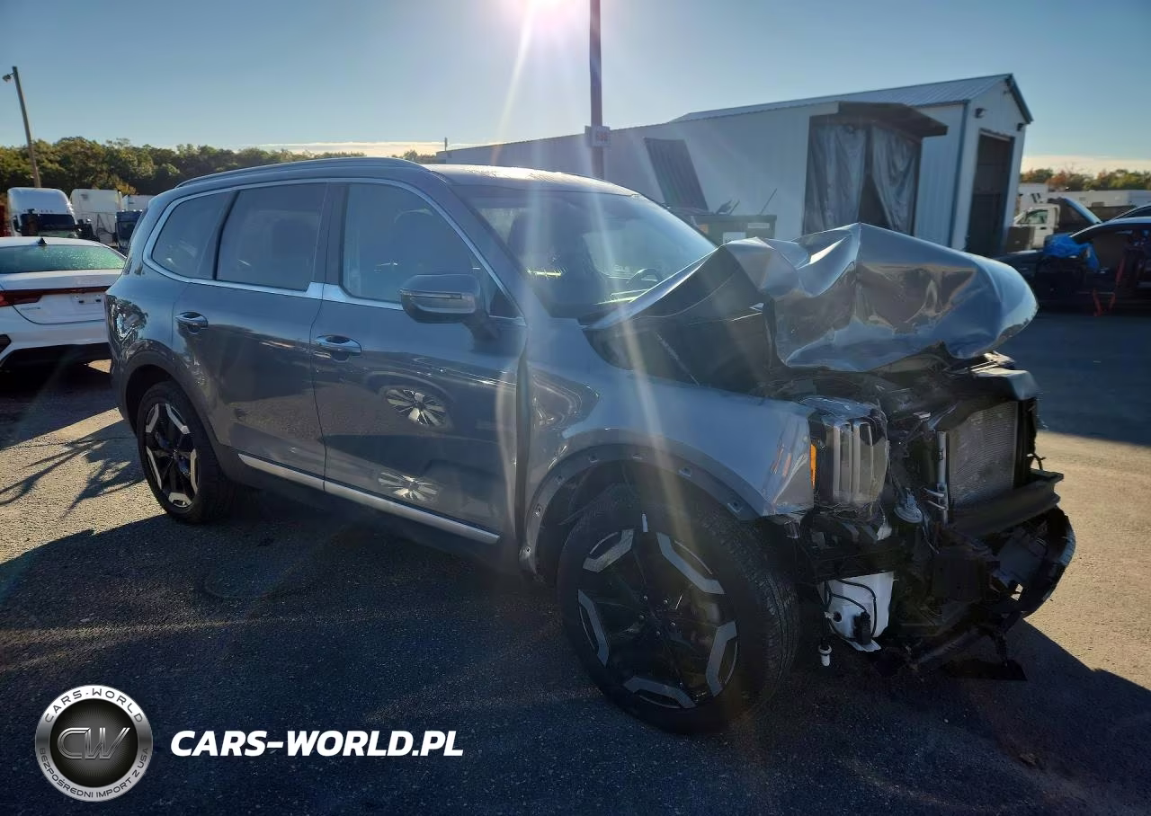 2025 Kia Telluride S VIN:5XYP6DGC0SG603855 - 4