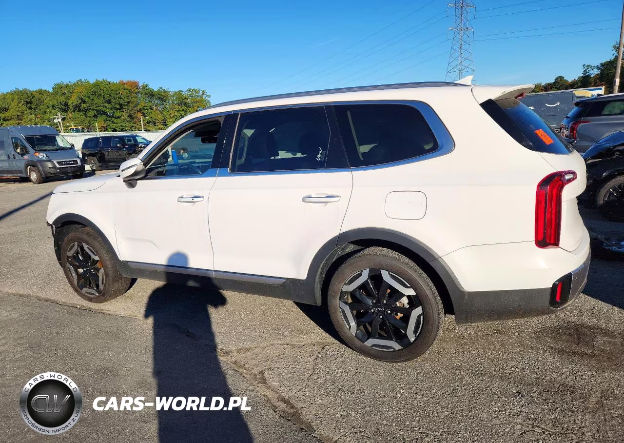 2025 Kia Telluride S VIN:5XYP64GC8SG698004 - 2