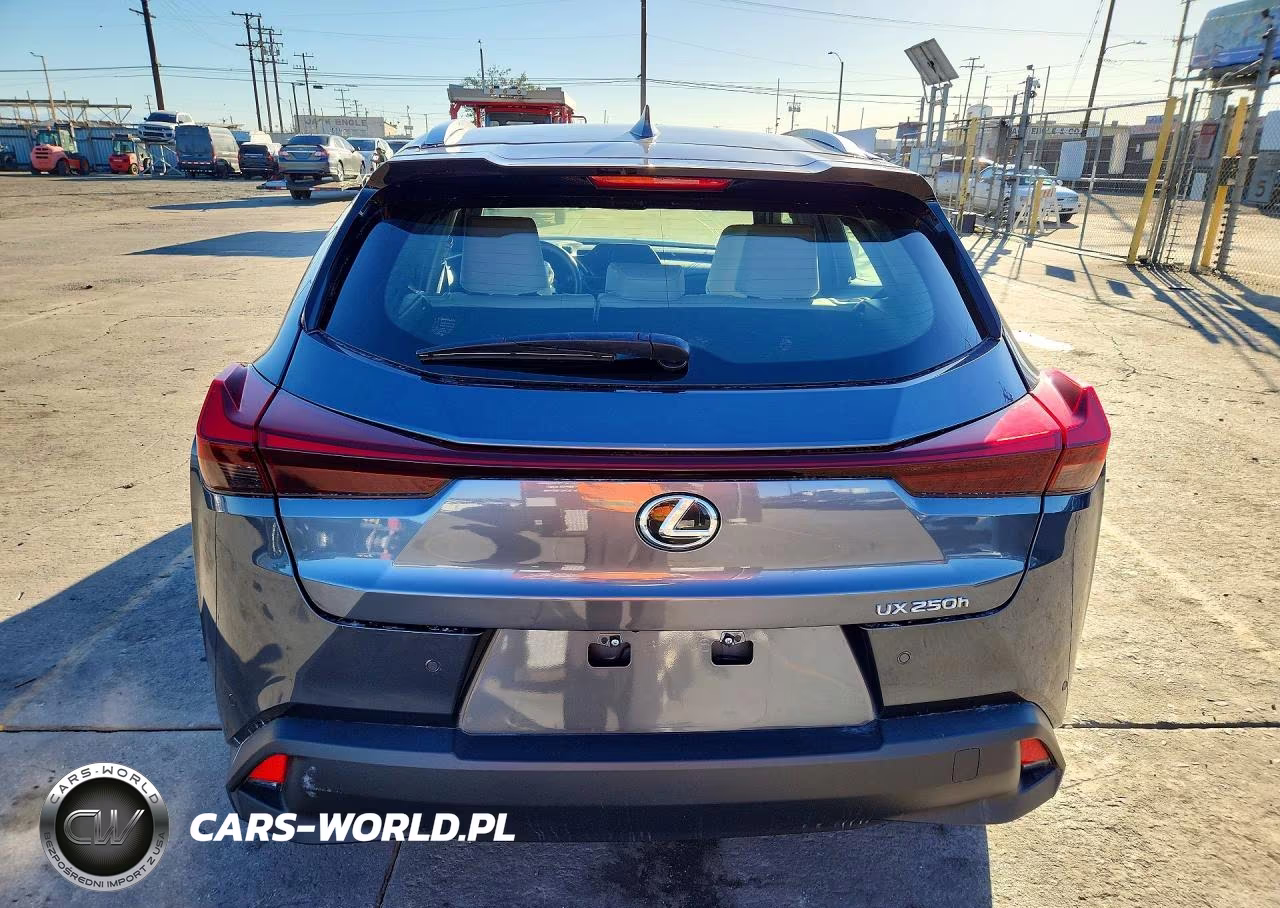 2023 Lexus Ux 250H VIN:JTHX6JBH5P2145747 - 6