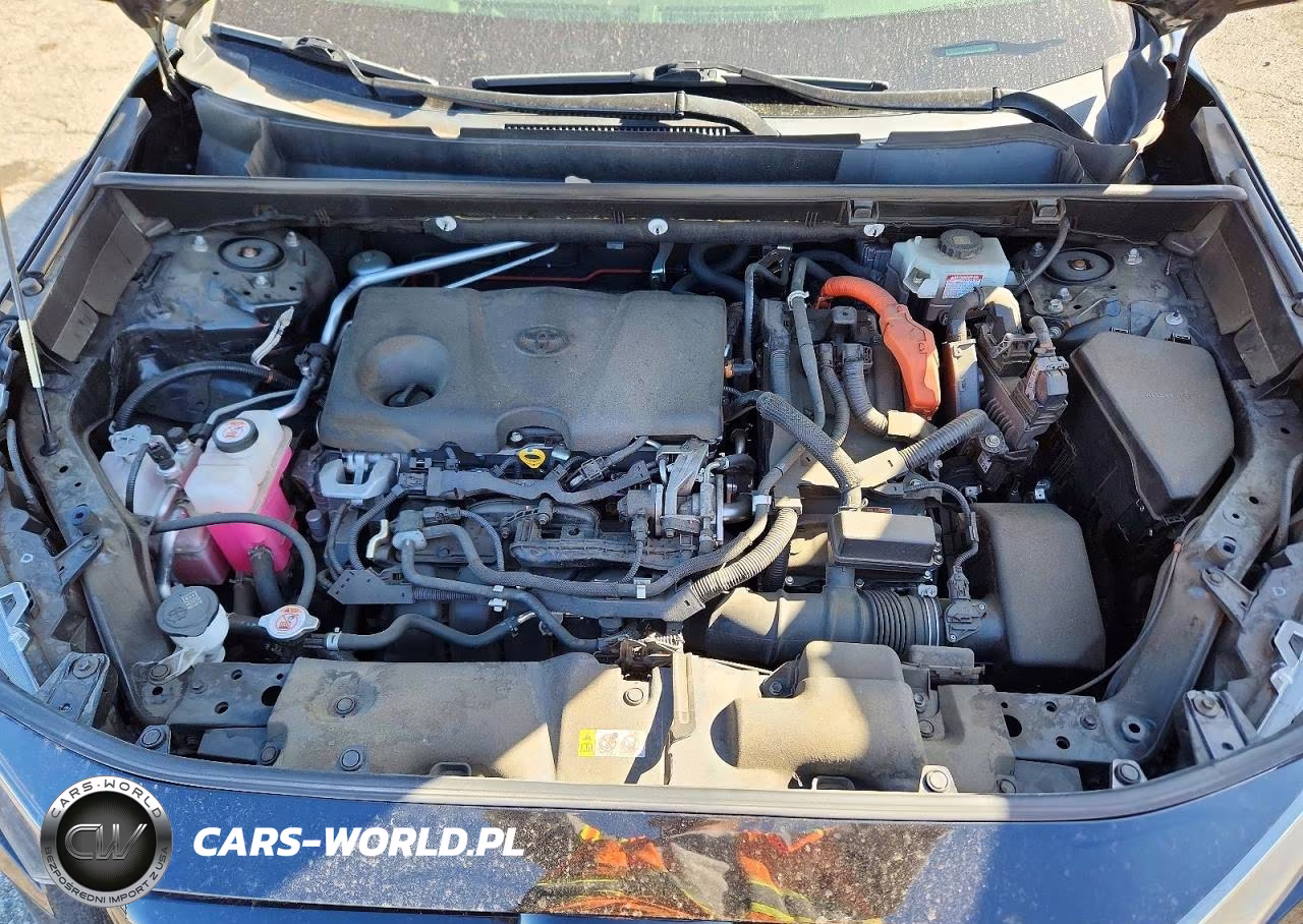 2019 Toyota Rav4 Le VIN:JTMLWRFV0KD015712 - 12