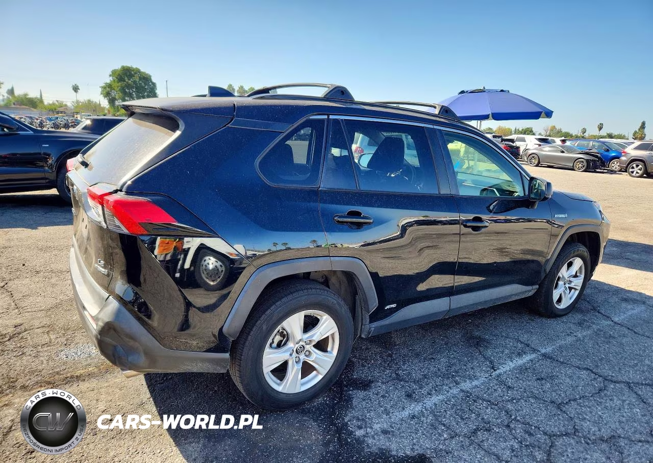 2019 Toyota Rav4 Le VIN:JTMLWRFV0KD015712 - 3