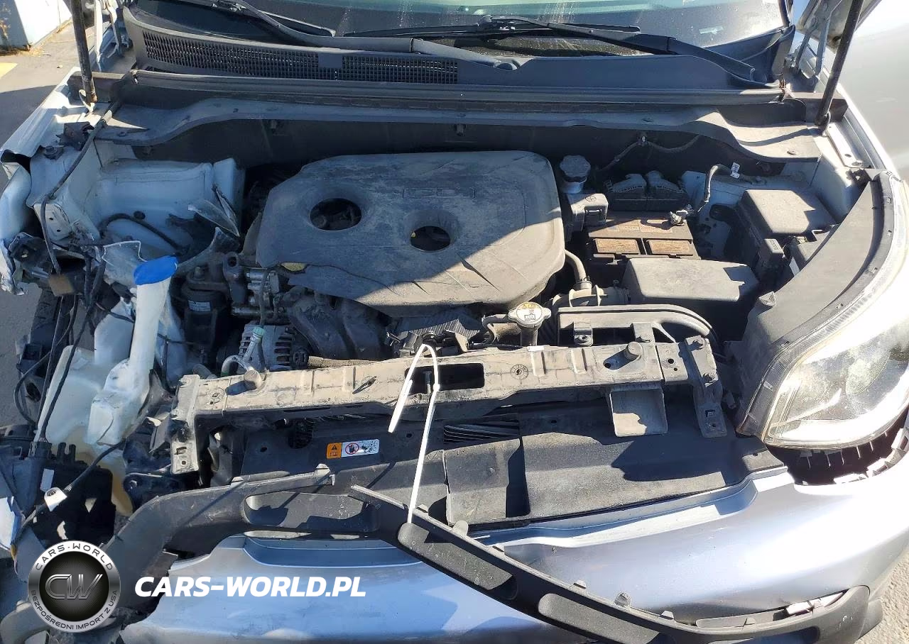 KIA SOUL + VIN:KNDJP3A55E7704026 - 11