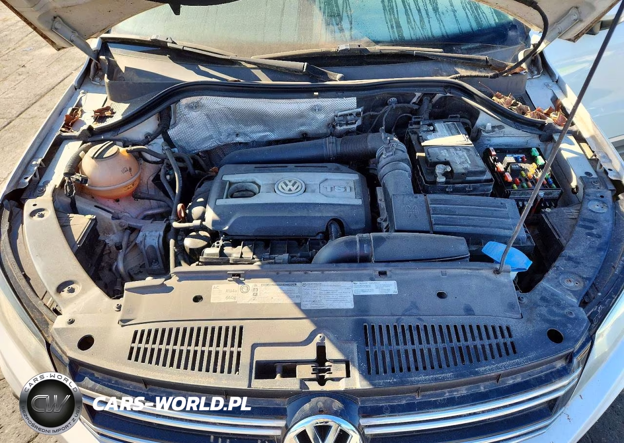 2013 Volkswagen Tiguan Sel VIN:WVGAV7AX7DW534427 - 12