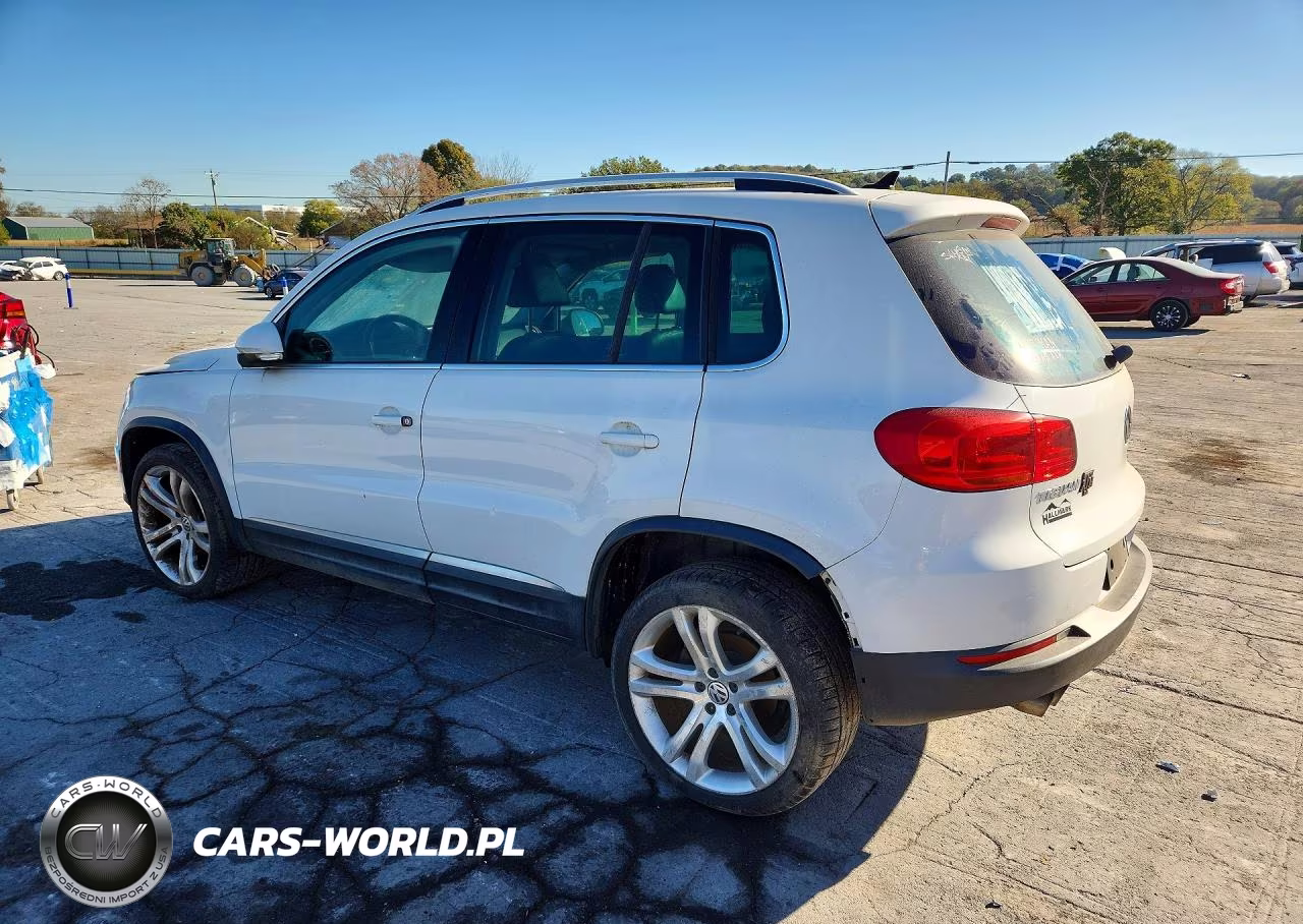 2013 Volkswagen Tiguan Sel VIN:WVGAV7AX7DW534427 - 2