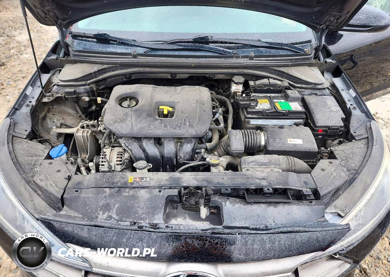 2019 Hyundai Elantra Sel VIN:KMHD84LF3KU838709 - 11
