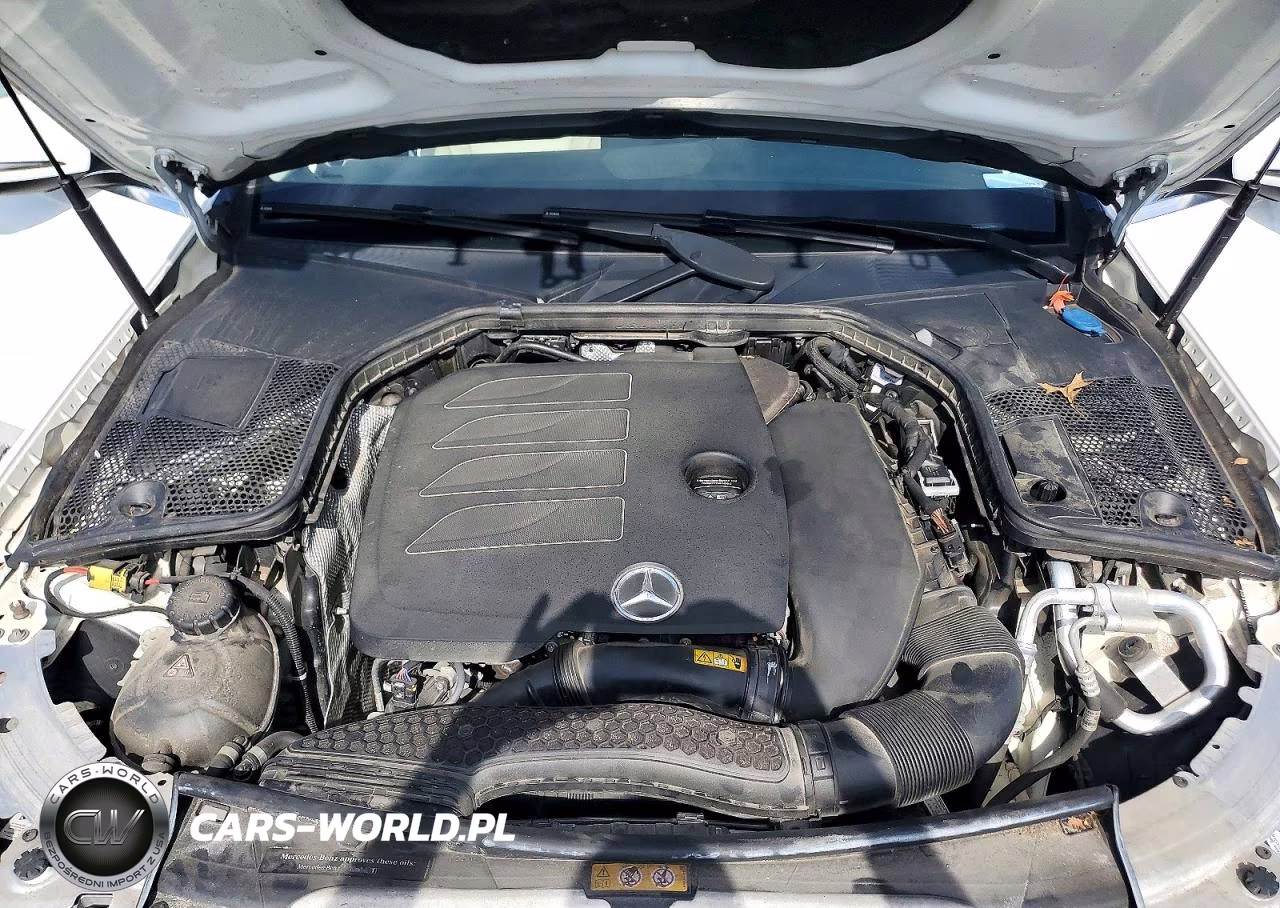 2019 Mercedes-Benz C 300 4Matic VIN:55SWF8EB6KU290457 - 11