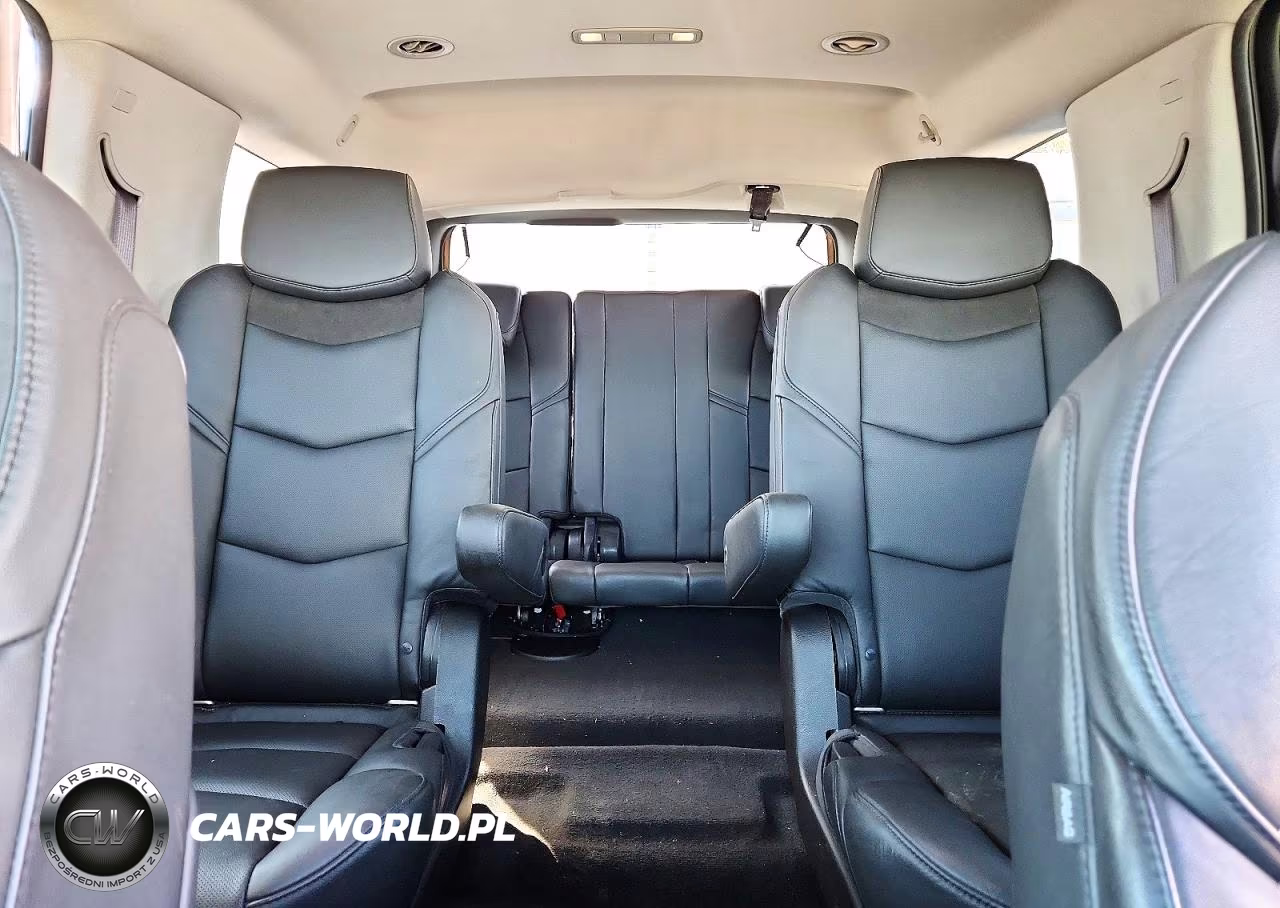2016 Cadillac Escalade Luxury VIN:1GYS4BKJXGR326077 - 10
