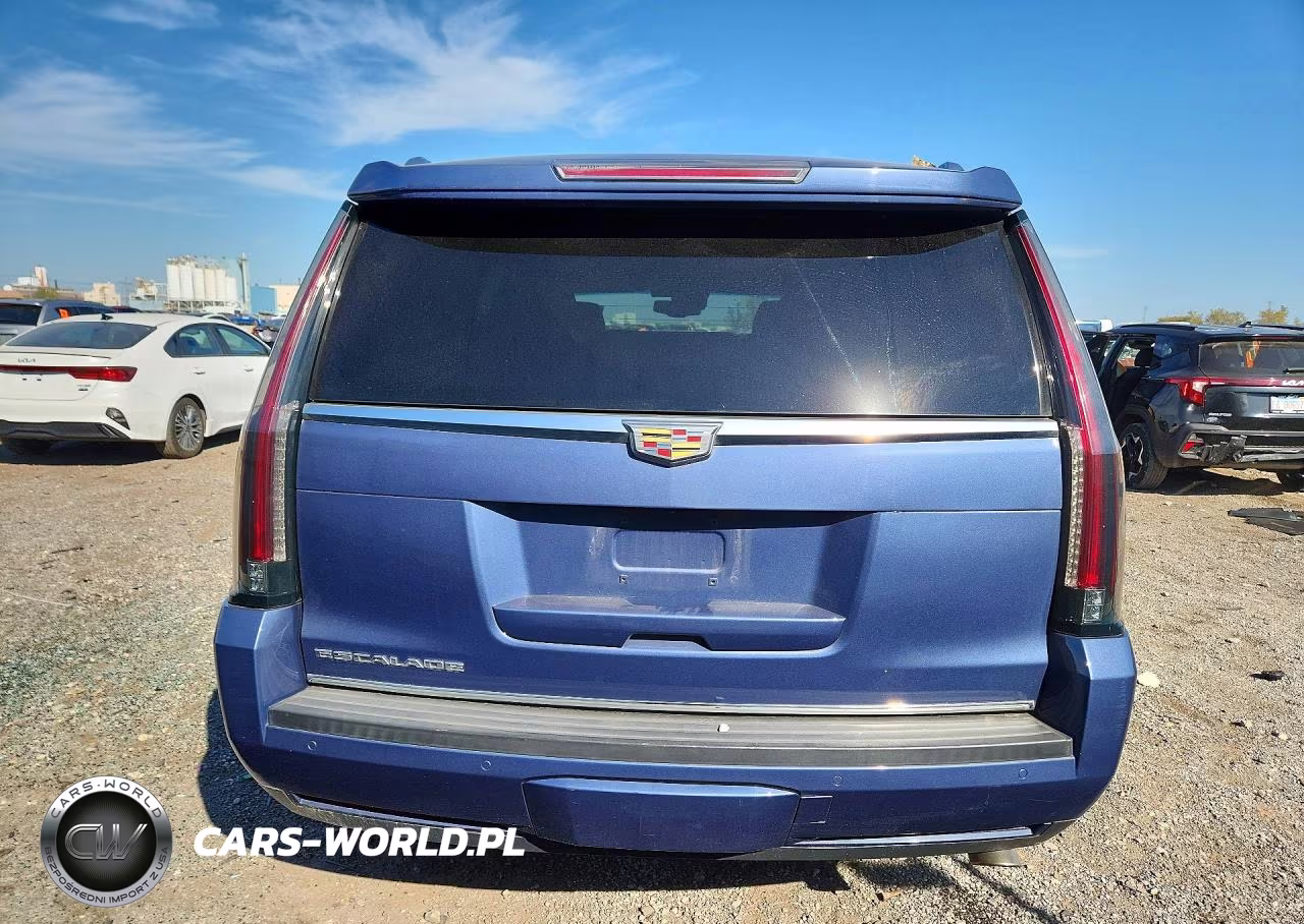 2016 Cadillac Escalade Luxury VIN:1GYS4BKJXGR326077 - 6