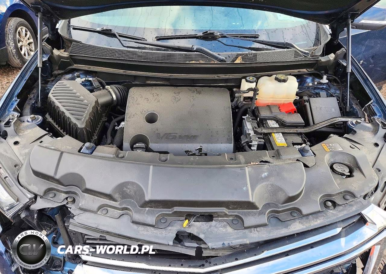 2023 Chevrolet Traverse Lt VIN:1GNEVHKW3PJ291774 - 12