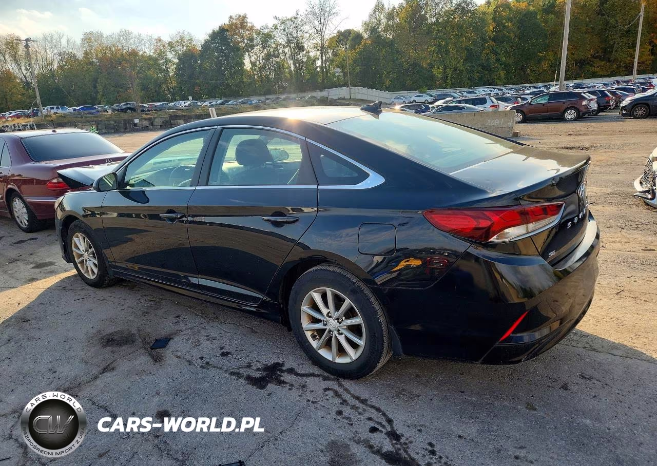 2019 Hyundai Sonata Se VIN:5NPE24AF7KH811388 - 2