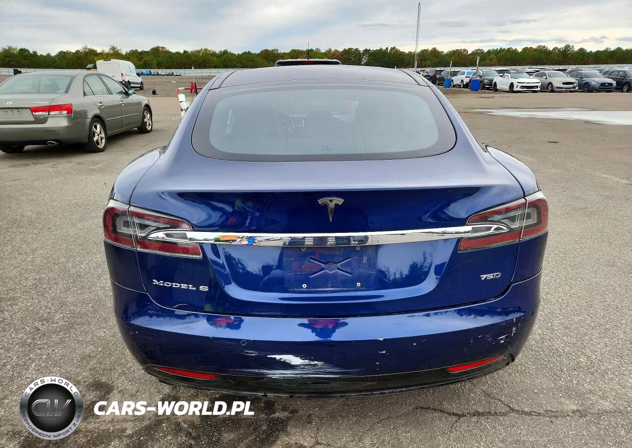 2016 Tesla Model S VIN:5YJSA1E20GF168867 - 6