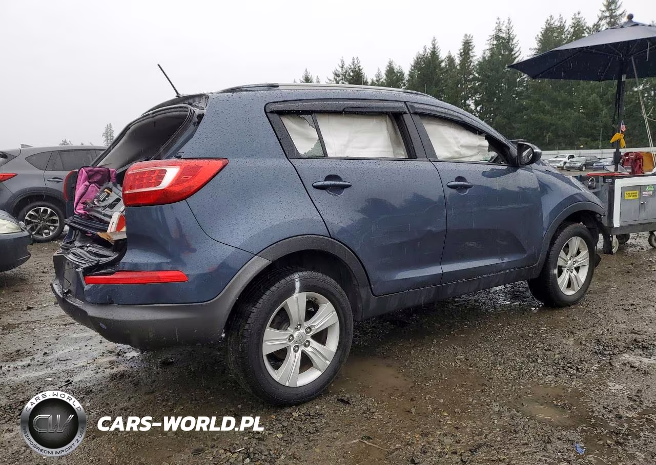 2011 Kia Sportage Lx VIN:KNDPB3A21B7031388 - 3