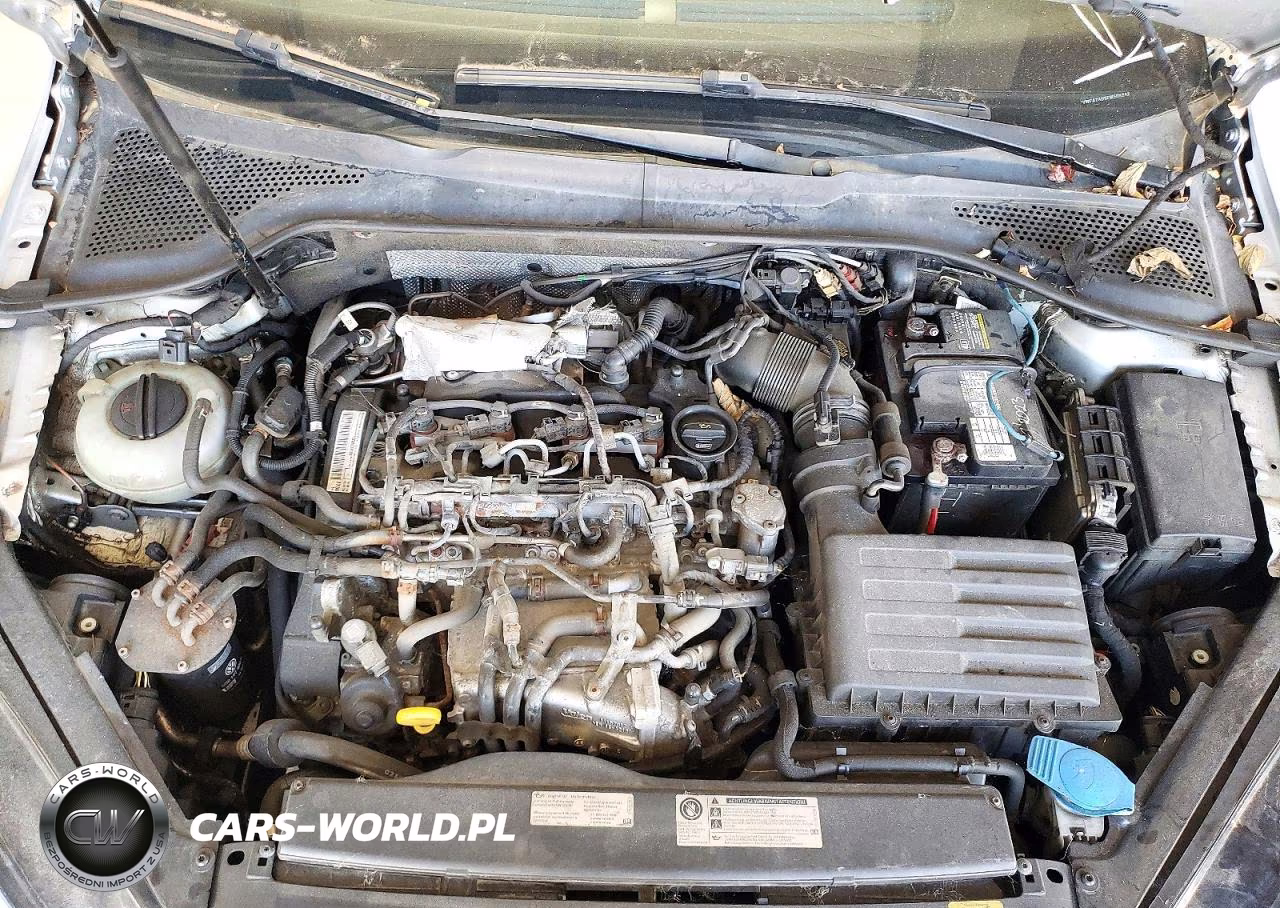 2015 Volkswagen Golf Sportwagen Tdi S VIN:3VWFA7AU5FM508243 - 12
