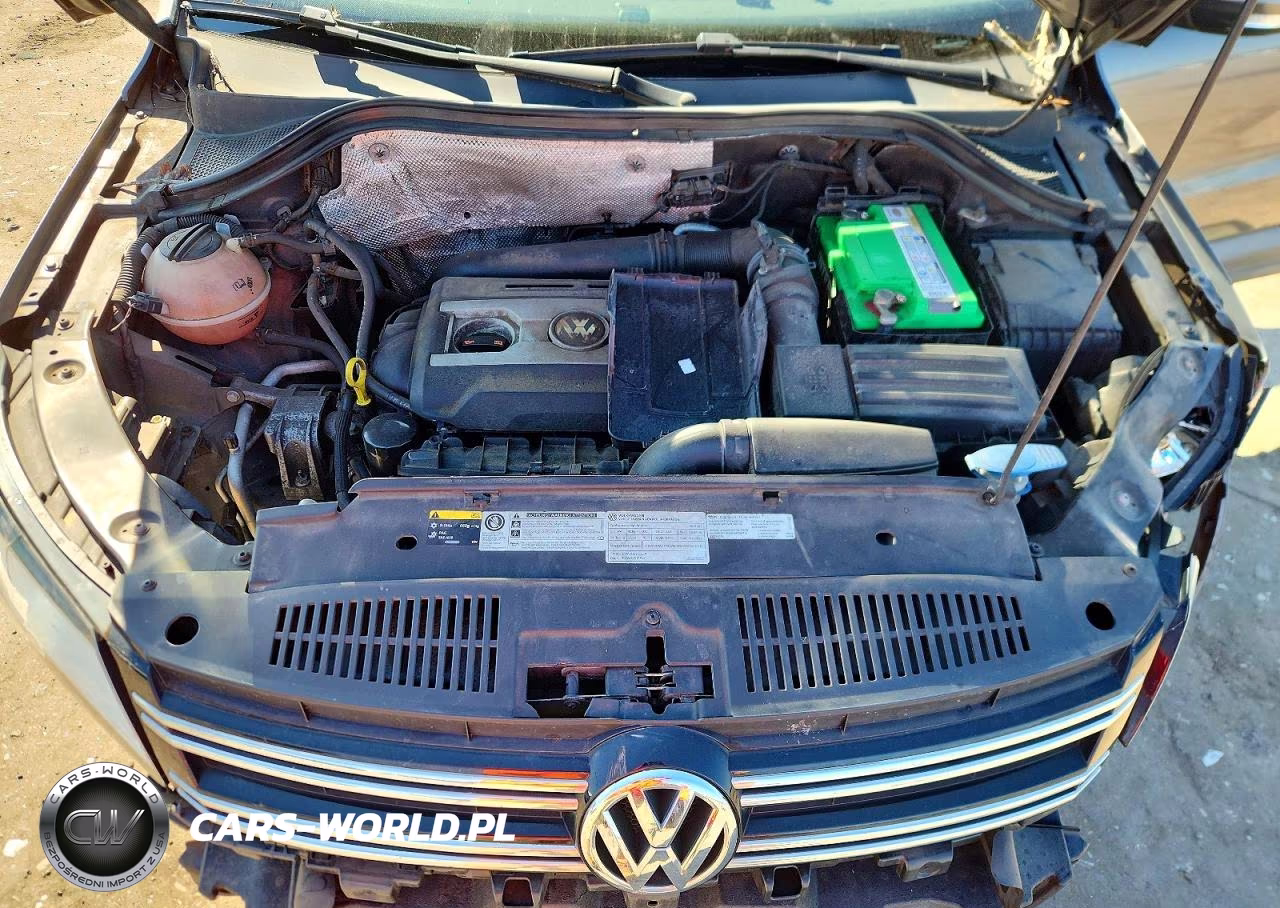 2014 Volkswagen Tiguan S VIN:WVGAV3AX8EW501866 - 12
