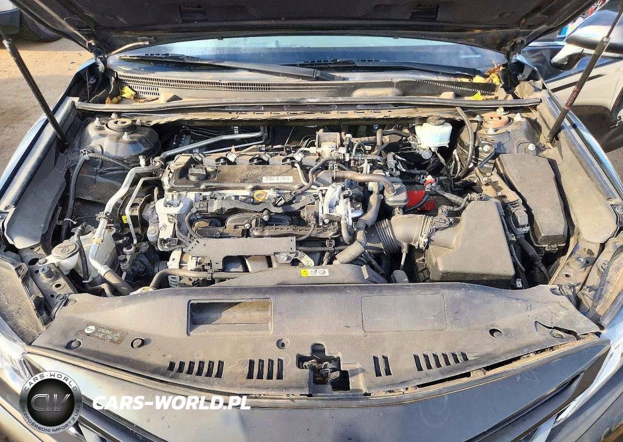 2019 Toyota Camry Se VIN:4T1B11HK0KU808874 - 11