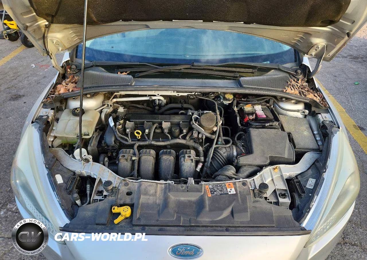 2015 Ford Focus Se VIN:1FADP3F24FL292076 - 11