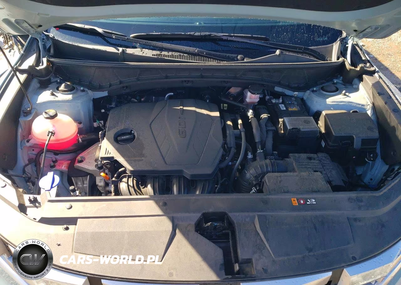 2024 Hyundai Santa Cruz Sel VIN:5NTJBDDE0RH109359 - 11