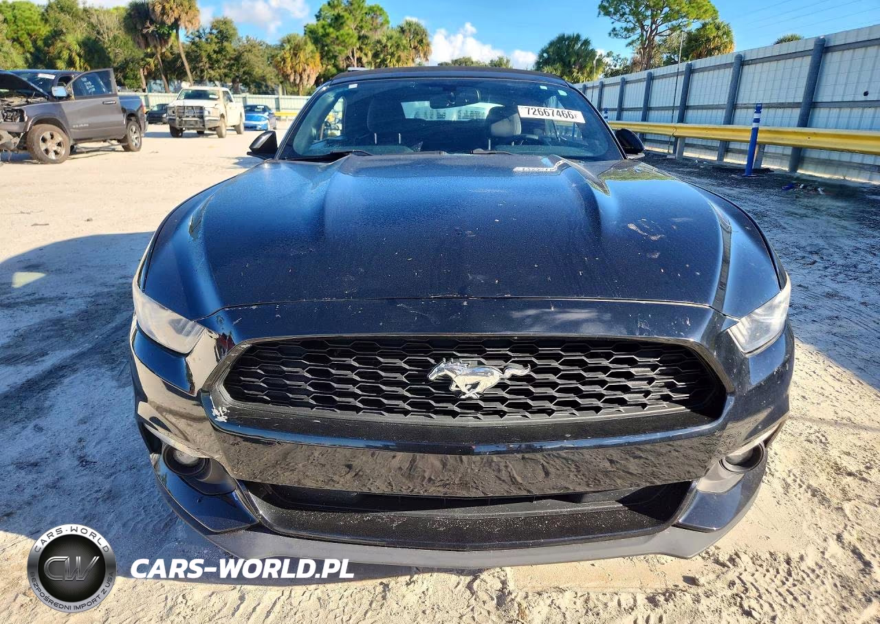 2017 Ford Mustang Gt VIN:1FATP8EM5H5249160 - 5
