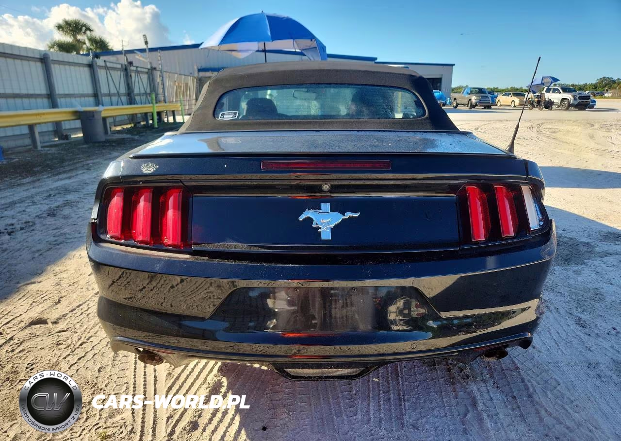 2017 Ford Mustang Gt VIN:1FATP8EM5H5249160 - 6