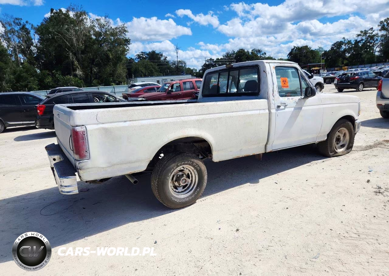1993 Ford F150 VIN:2FTDF15Y9PCA17970 - 3