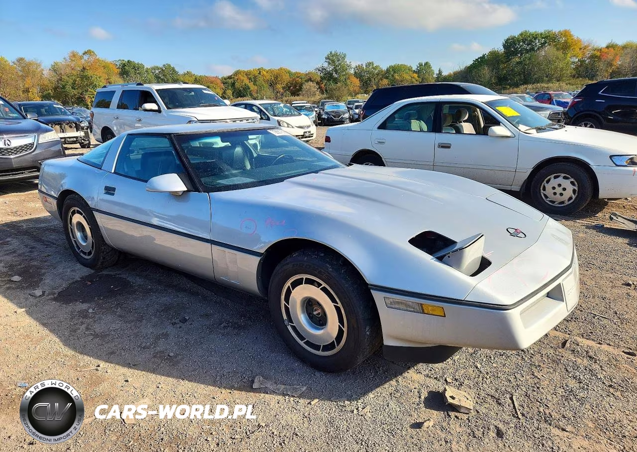 1984 Chevrolet Corvette VIN:1G1AY0781E5104797 - 4