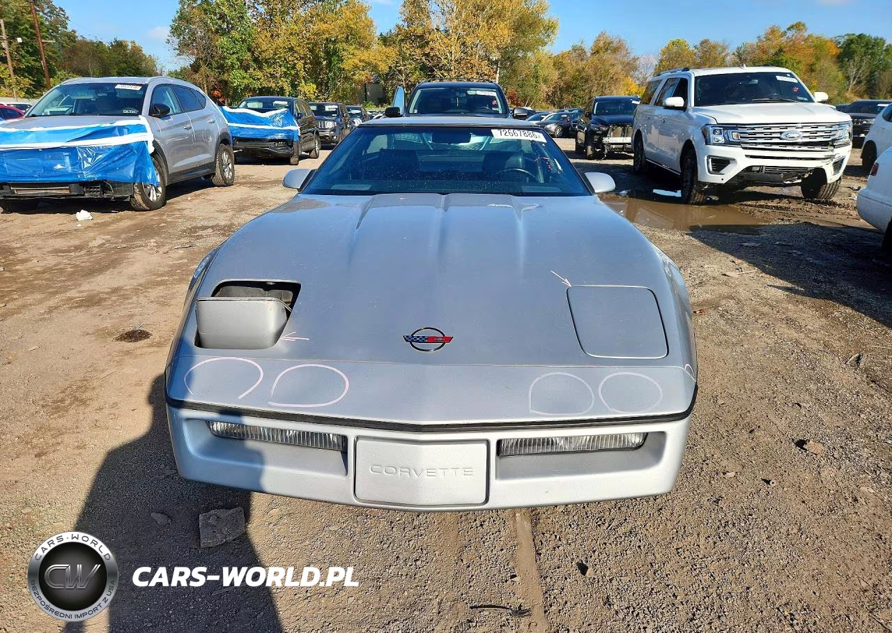1984 Chevrolet Corvette VIN:1G1AY0781E5104797 - 5