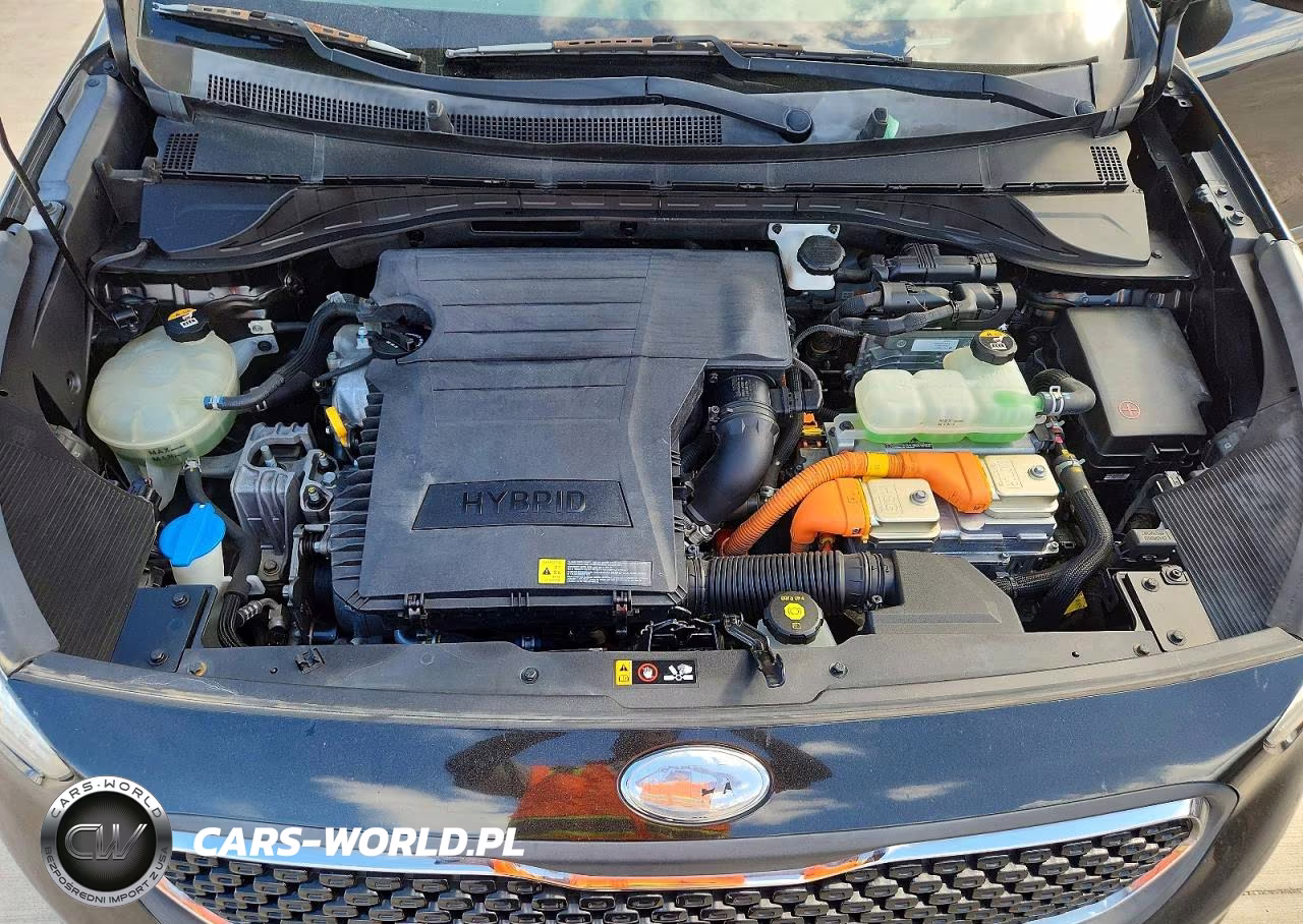 2019 Kia Niro Lx VIN:KNDCB3LCXK5265111 - 12