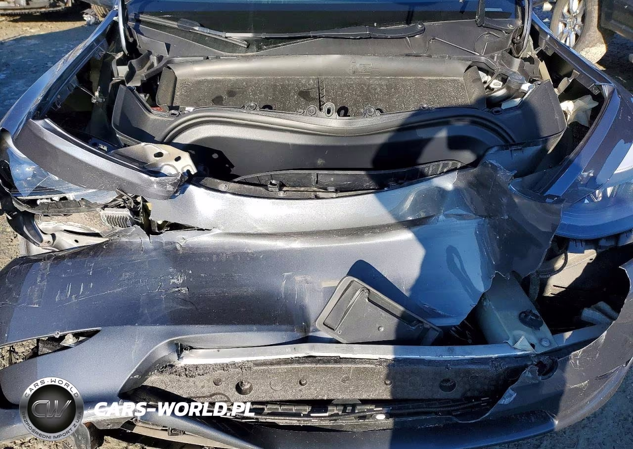 2023 Tesla Model Y VIN:7SAYGDEE8PF860303 - 11