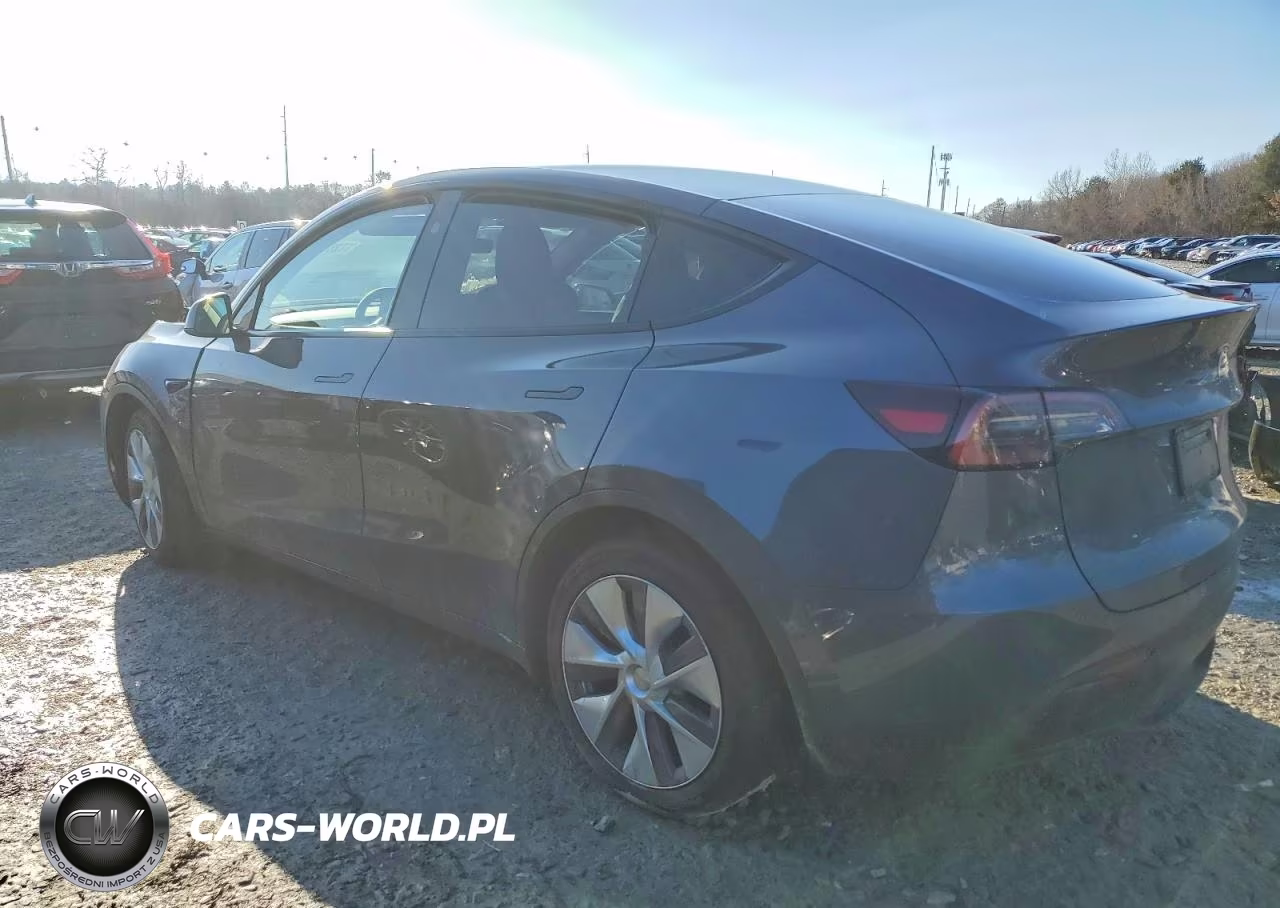2023 Tesla Model Y VIN:7SAYGDEE8PF860303 - 2
