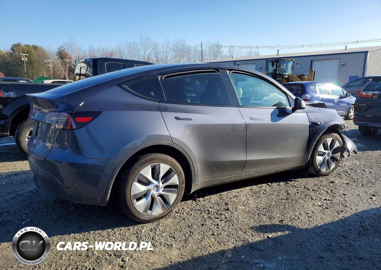 2023 Tesla Model Y VIN:7SAYGDEE8PF860303 - 3