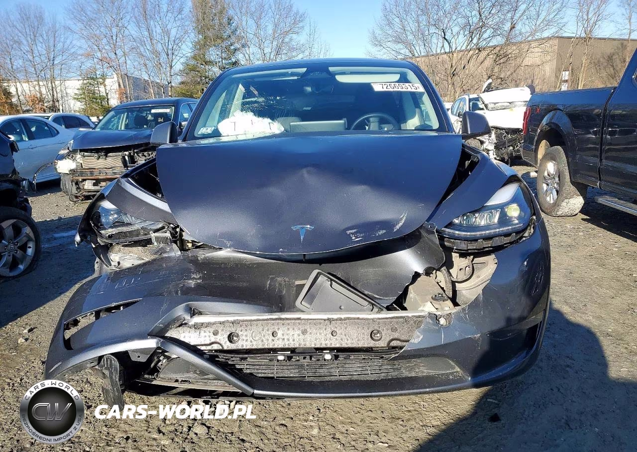 2023 Tesla Model Y VIN:7SAYGDEE8PF860303 - 5